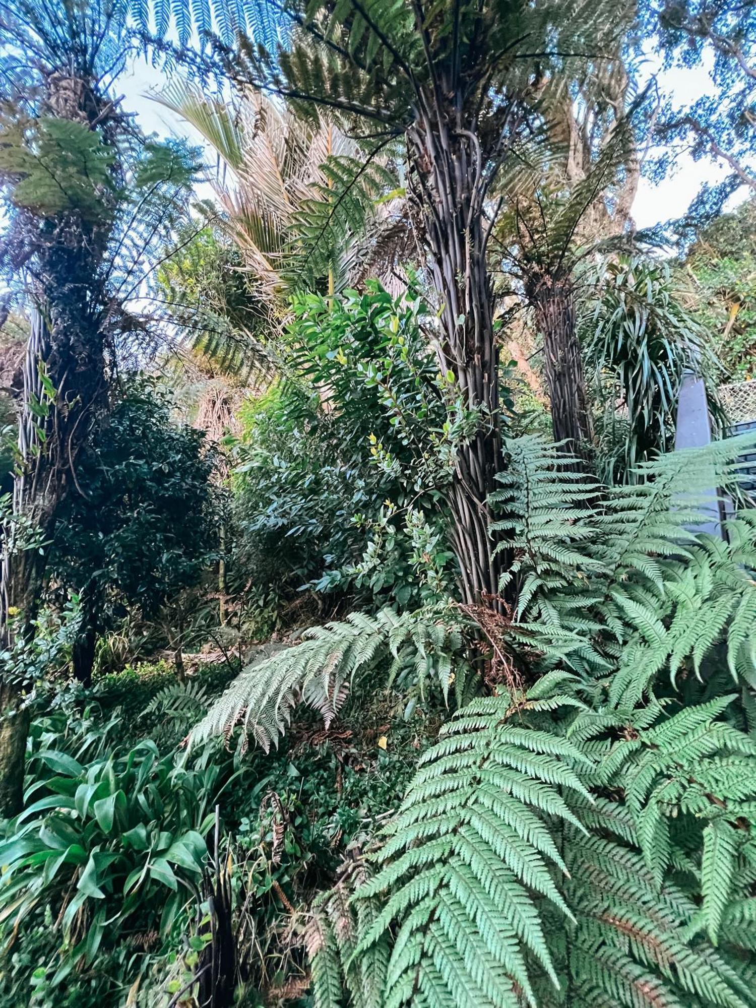 Evergreen Escape Hokitika Bagian luar foto